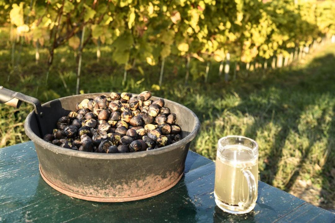Gasthof Wagner Restaurant-Pension Halbenrain Екстер'єр фото